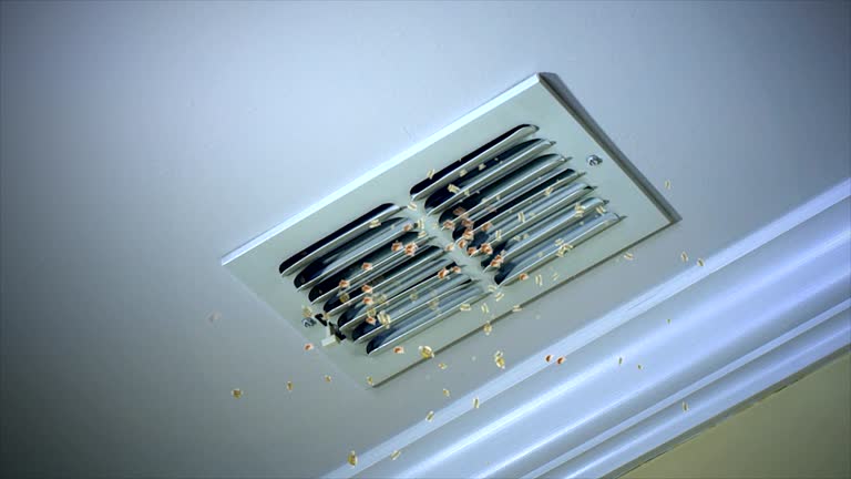 Best HVAC Air Duct Cleaning  in Battle Ground, IN